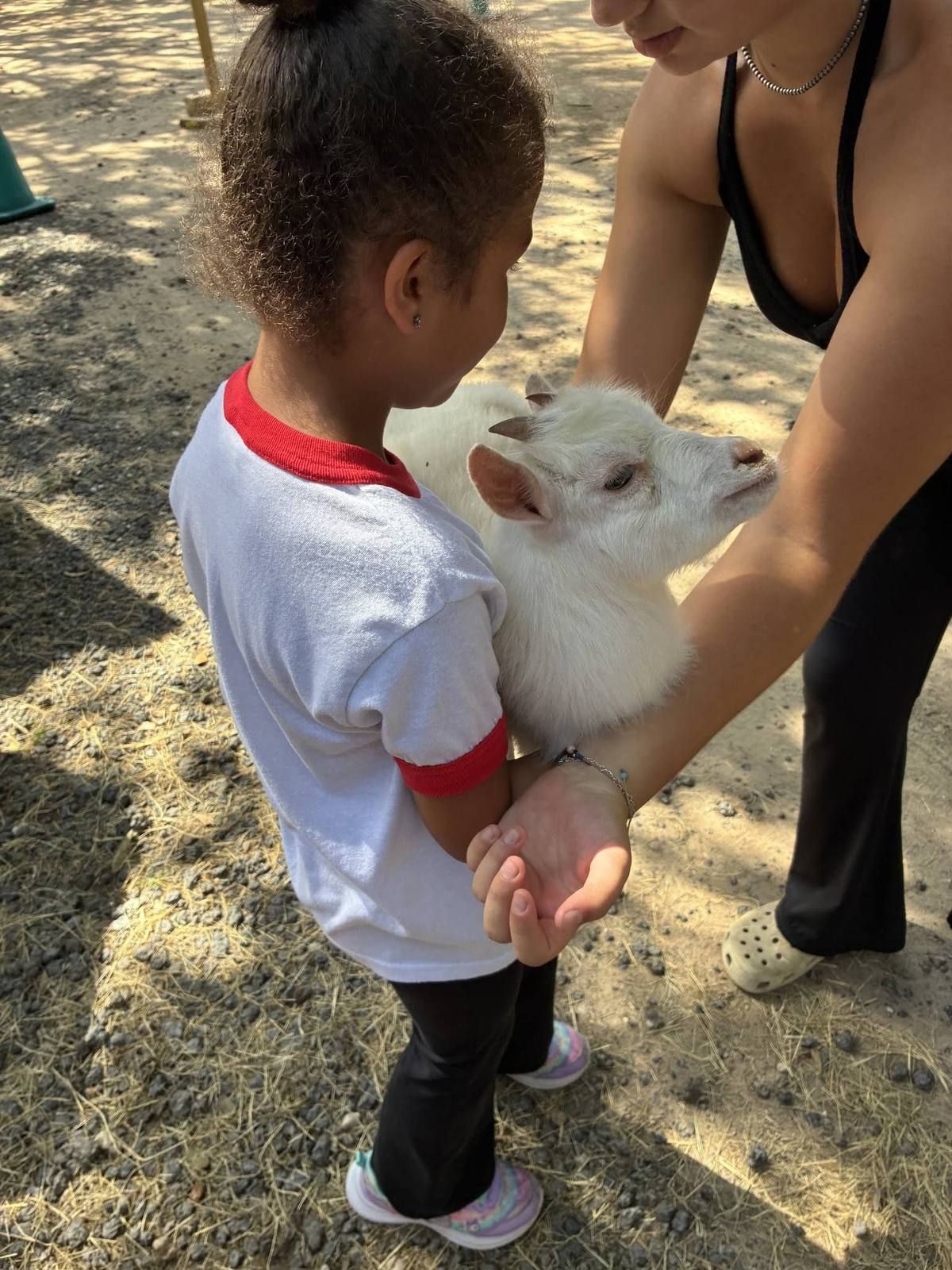 A child gently holding a baby goat at the petting zoo
