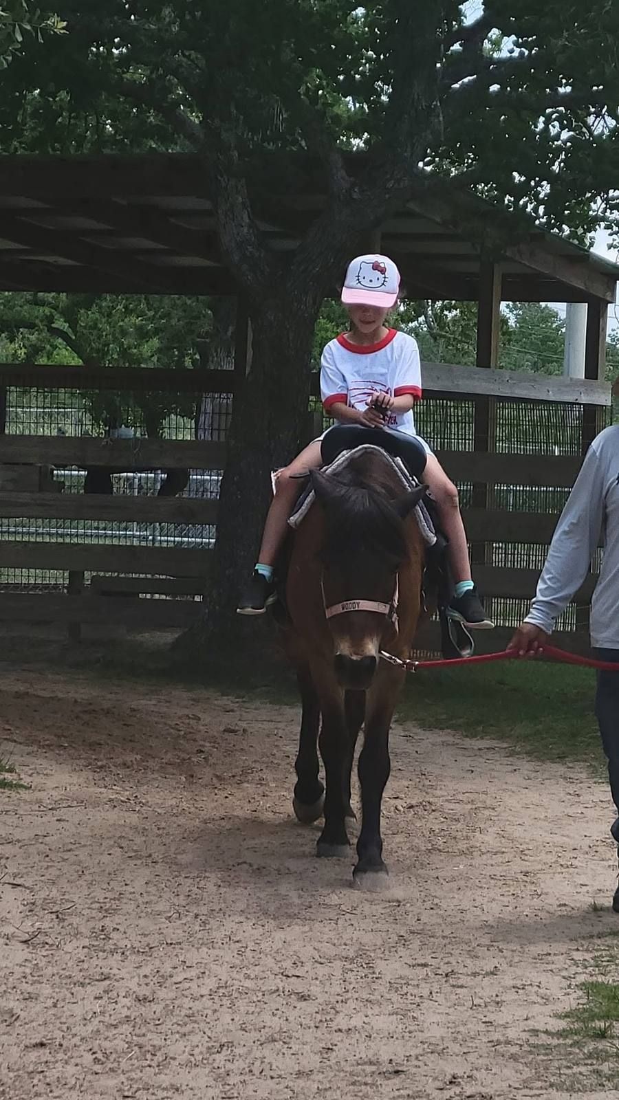 A child riding a pony on a field trip