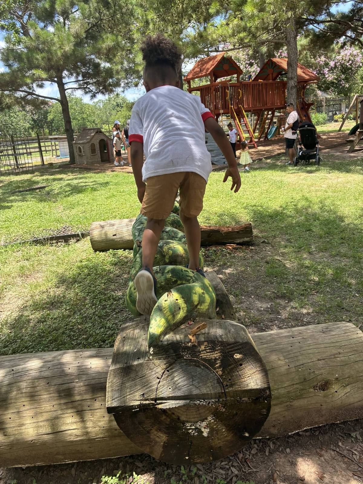 A child balancing along logs at the nature park