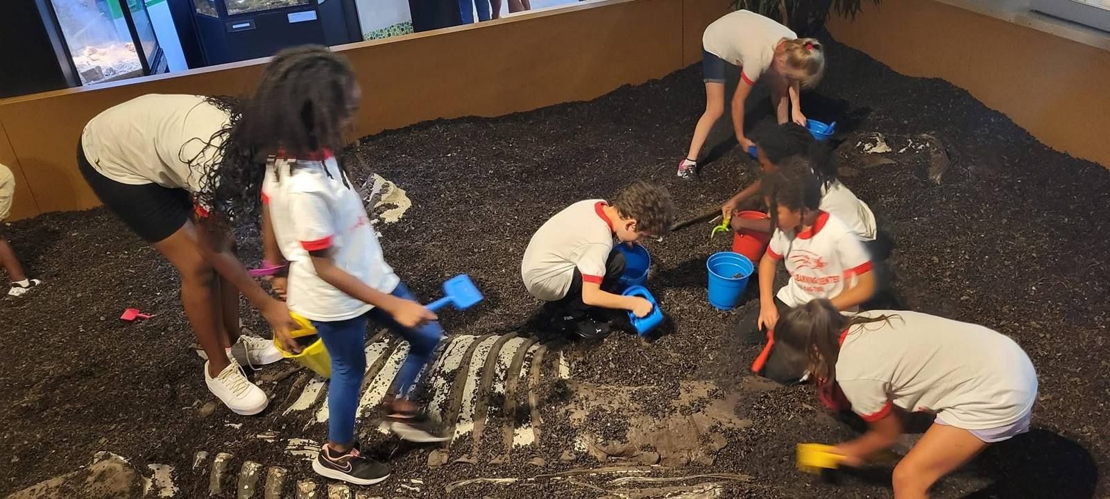 Kids digging with shovels in a museum dig pit